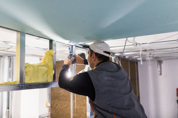 Types of Insulation We Offer in Burns Harbor, IN