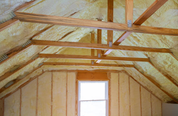 Best Specialized Insulation Services in Burns Harbor, IN